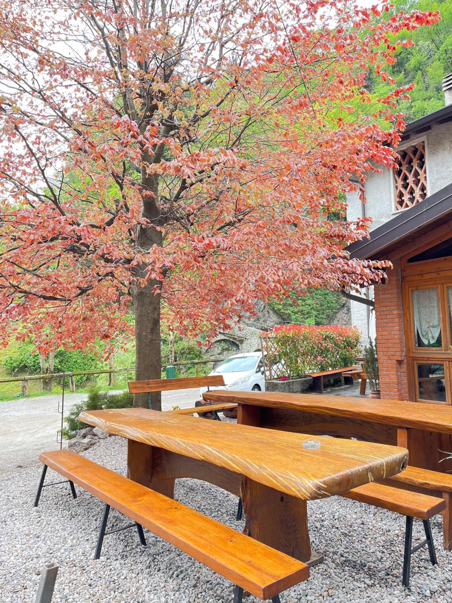 Agriturismo La Vecchia Chioderia Grandola ed Uniti Kültér fotó