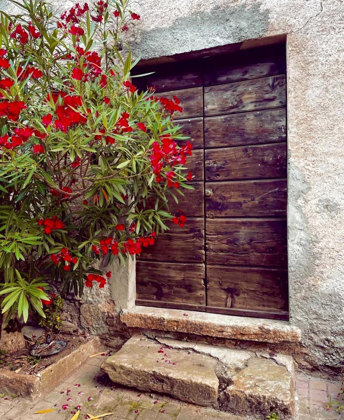 Agriturismo La Vecchia Chioderia Grandola ed Uniti Kültér fotó