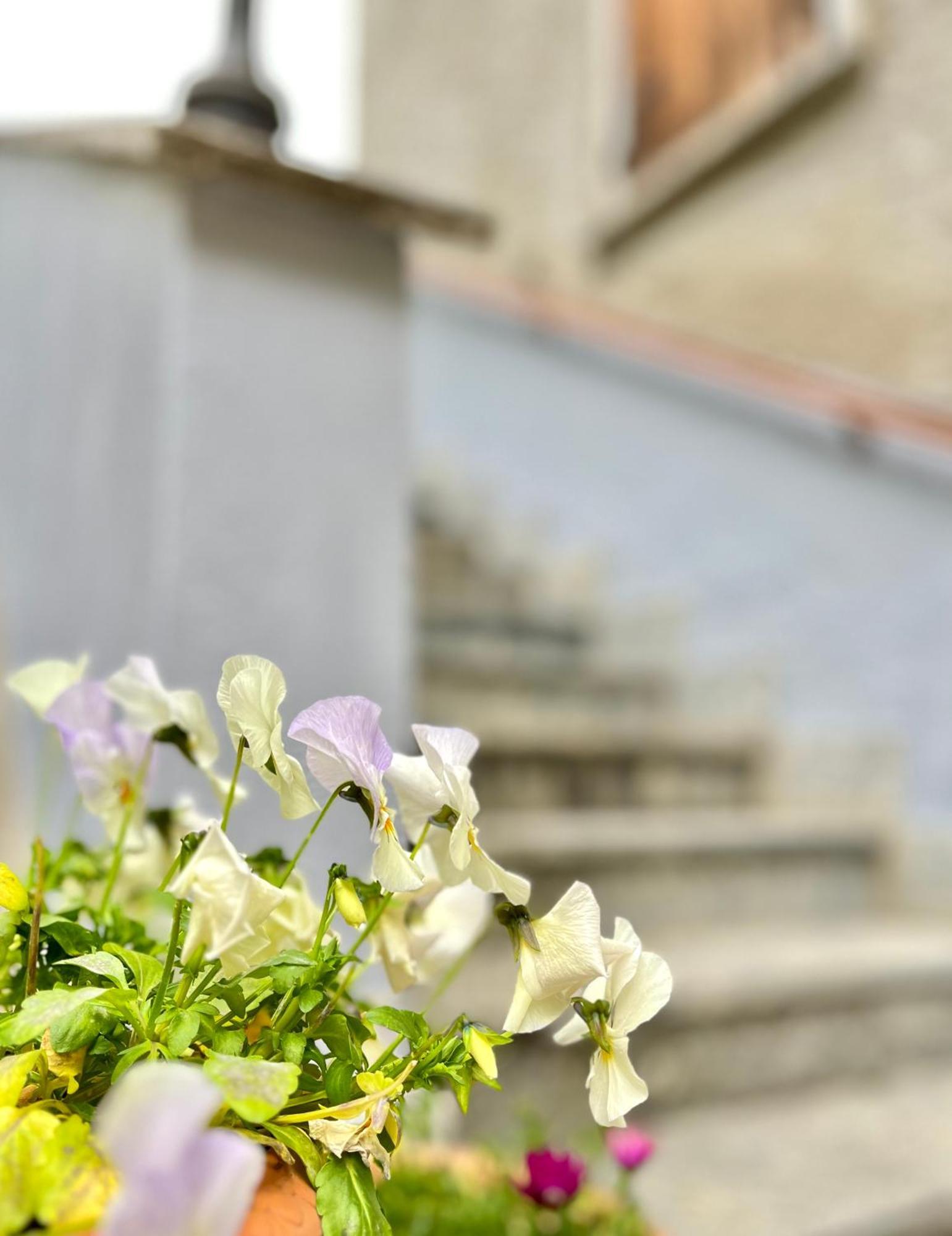 Agriturismo La Vecchia Chioderia Grandola ed Uniti Kültér fotó