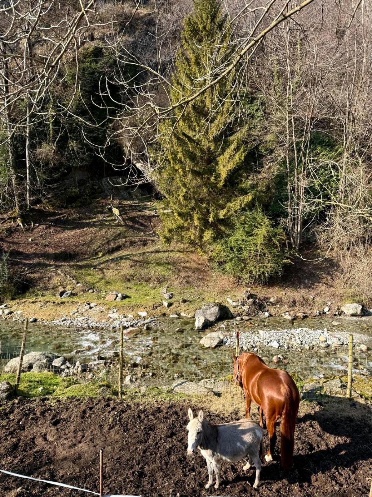 Agriturismo La Vecchia Chioderia Grandola ed Uniti Kültér fotó