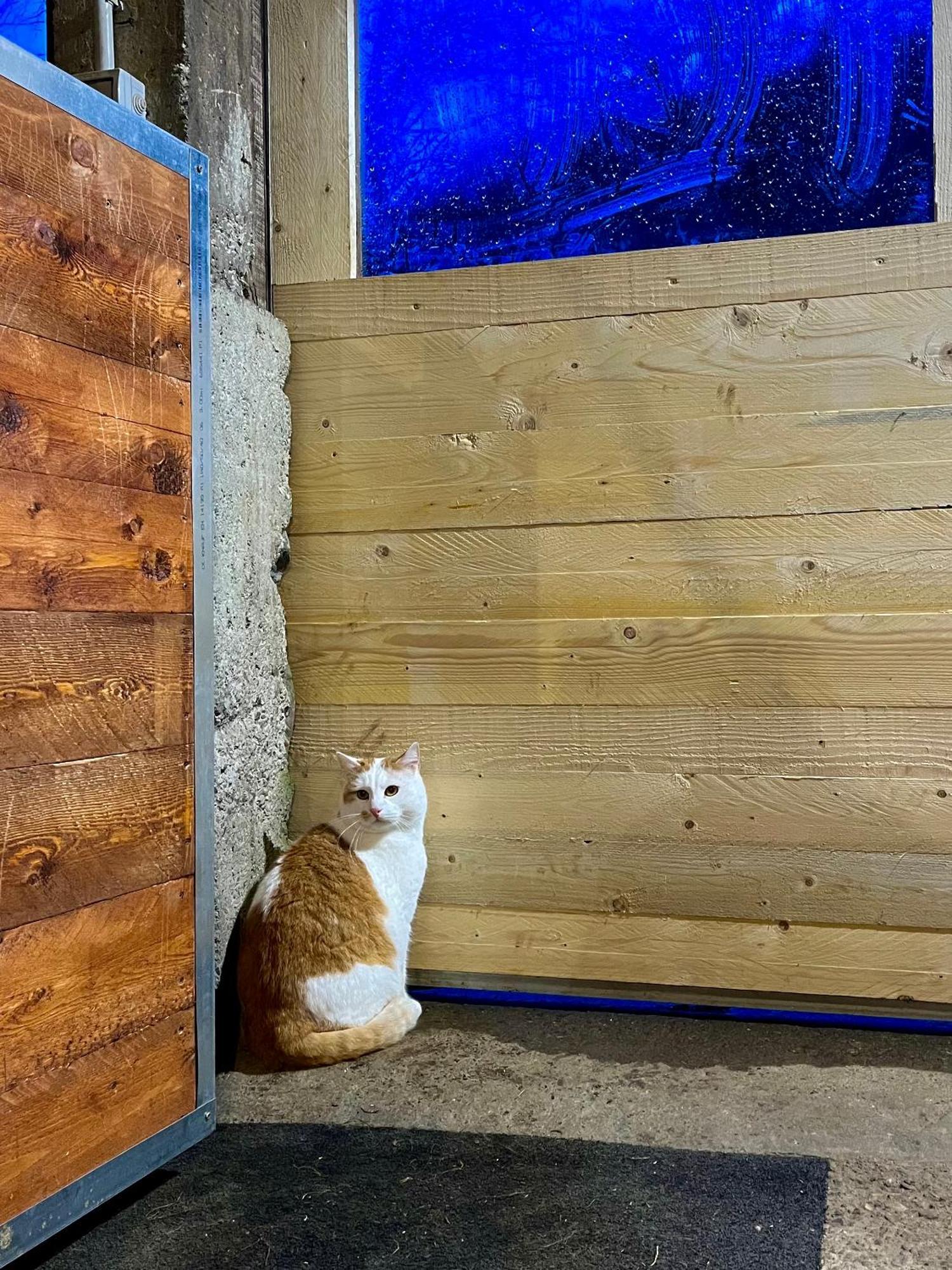 Agriturismo La Vecchia Chioderia Grandola ed Uniti Kültér fotó