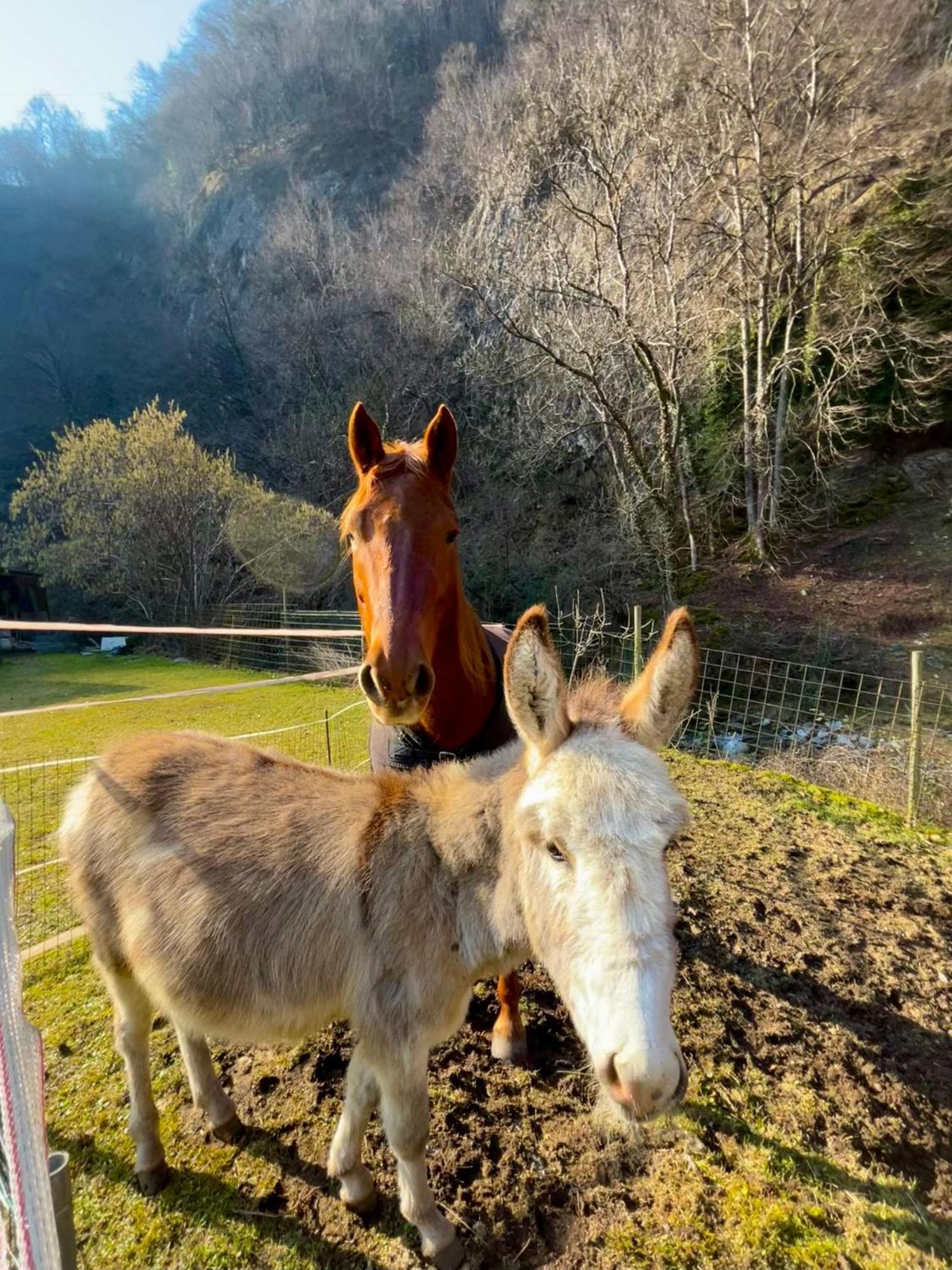 Agriturismo La Vecchia Chioderia Grandola ed Uniti Kültér fotó