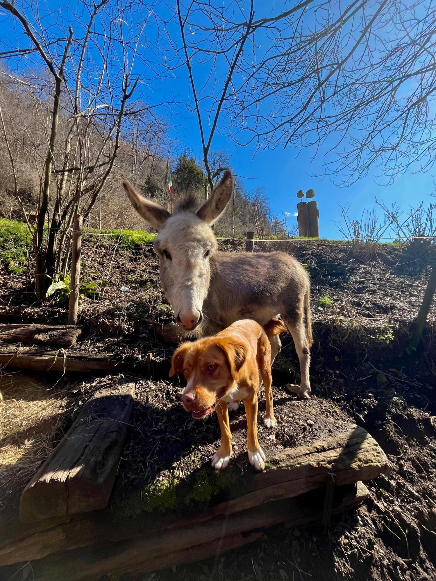 Agriturismo La Vecchia Chioderia Grandola ed Uniti Kültér fotó