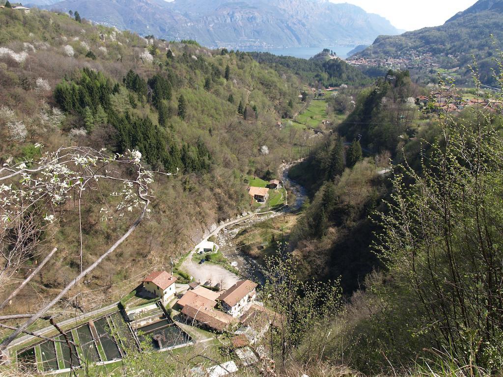 Agriturismo La Vecchia Chioderia Grandola ed Uniti Kültér fotó